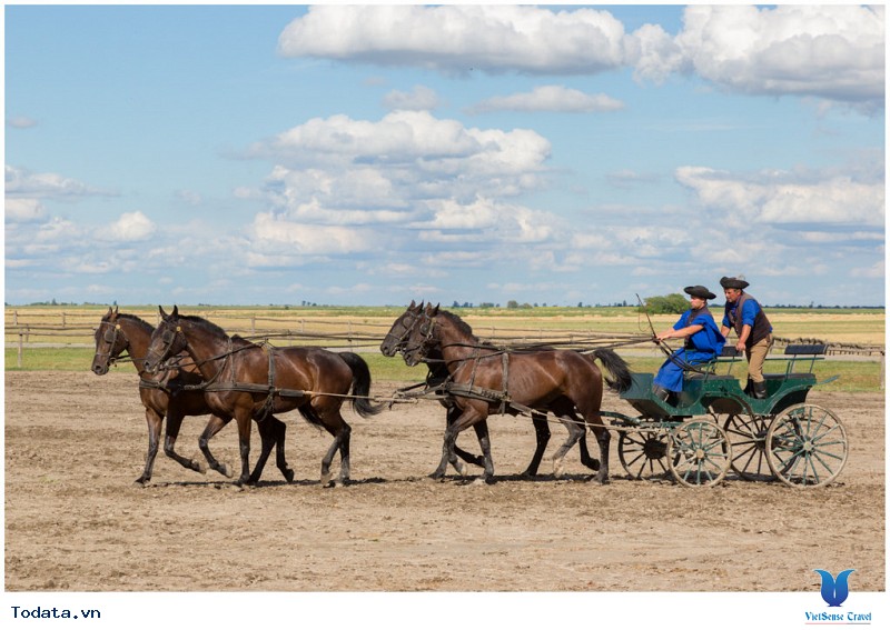 Xuôi Dòng Danube Khám Phá 7 Quốc Gia Châu Âu - Ảnh 6